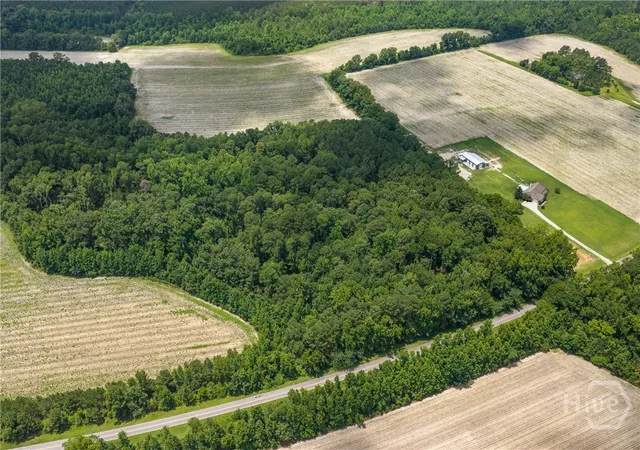 4th image of 0 N Old River Rd, Garfield, GA 30425 | MLS# SA361592