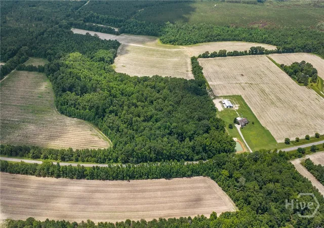 5th image of 0 N Old River Rd, Garfield, GA 30425 | MLS# SA361592