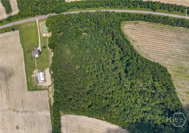 9th image of 0 N Old River Rd, Garfield, GA 30425 | MLS# SA361592