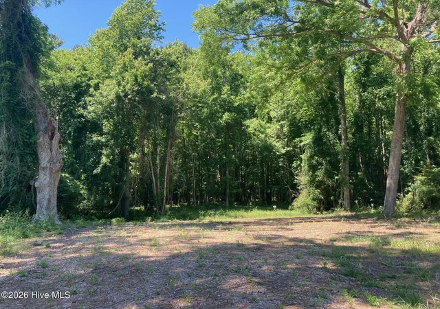24th image of 316 Bayview Rd, Bath, NC 27808 | MLS# 100554395