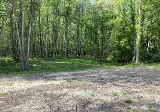 3rd image of 316 Bayview Rd, Bath, NC 27808 | MLS# 100554395
