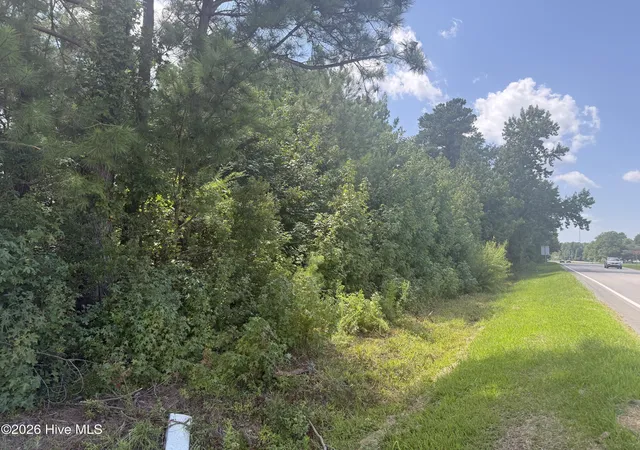 3rd image of Near 26880 Near 26880 Andrew Ja Hwy E, Delco, NC 28436 | MLS# 100596957