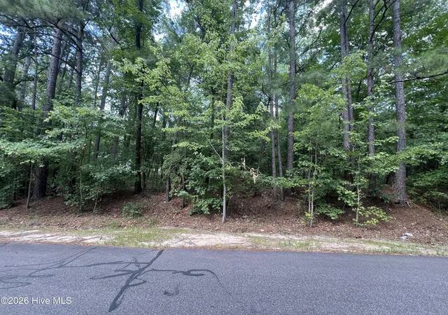 Homes for sale in Vass, NC | 307 Thimbleberry Dr, Vass, NC 28394 | MLS# 100581918