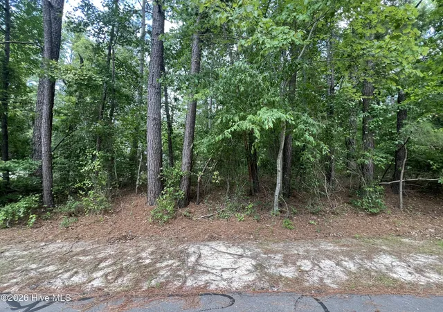 Homes for sale in Vass, NC | 307 Thimbleberry Dr, Vass, NC 28394 | MLS# 100581918