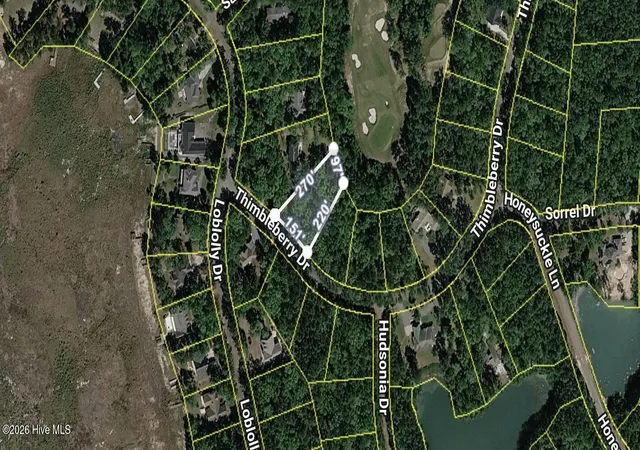 Homes for sale in Vass, NC | 307 Thimbleberry Dr, Vass, NC 28394 | MLS# 100581918