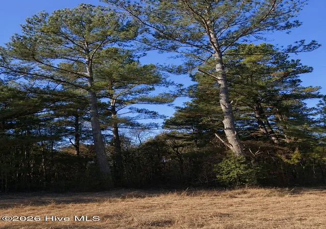 Photo 1 of Land for sale at 000 Roanoke Chapel Rd, Littleton, NC 27850 | MLS# 100591573 | Listing updated on 2026-09-15
