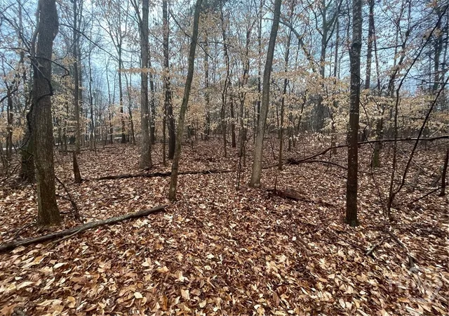Homes for sale in Westminster, SC | Lot 942 Birdie Ct, Westminster, SC 29693 | MLS# CL351327