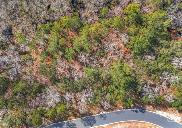 4th image of 151 Wood Haven Ln, Pooler, GA 31322 | MLS# SA349236