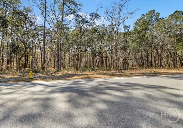 5th image of 151 Wood Haven Ln, Pooler, GA 31322 | MLS# SA349236