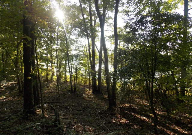 1st image of 59 Westwind Harbour Rd, Lincolnton, GA 30817 | MLS# 98212636