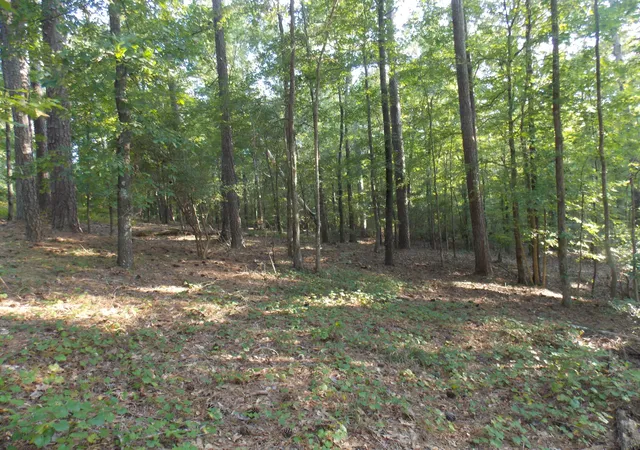 2nd image of 59 Westwind Harbour Rd, Lincolnton, GA 30817 | MLS# 98212636