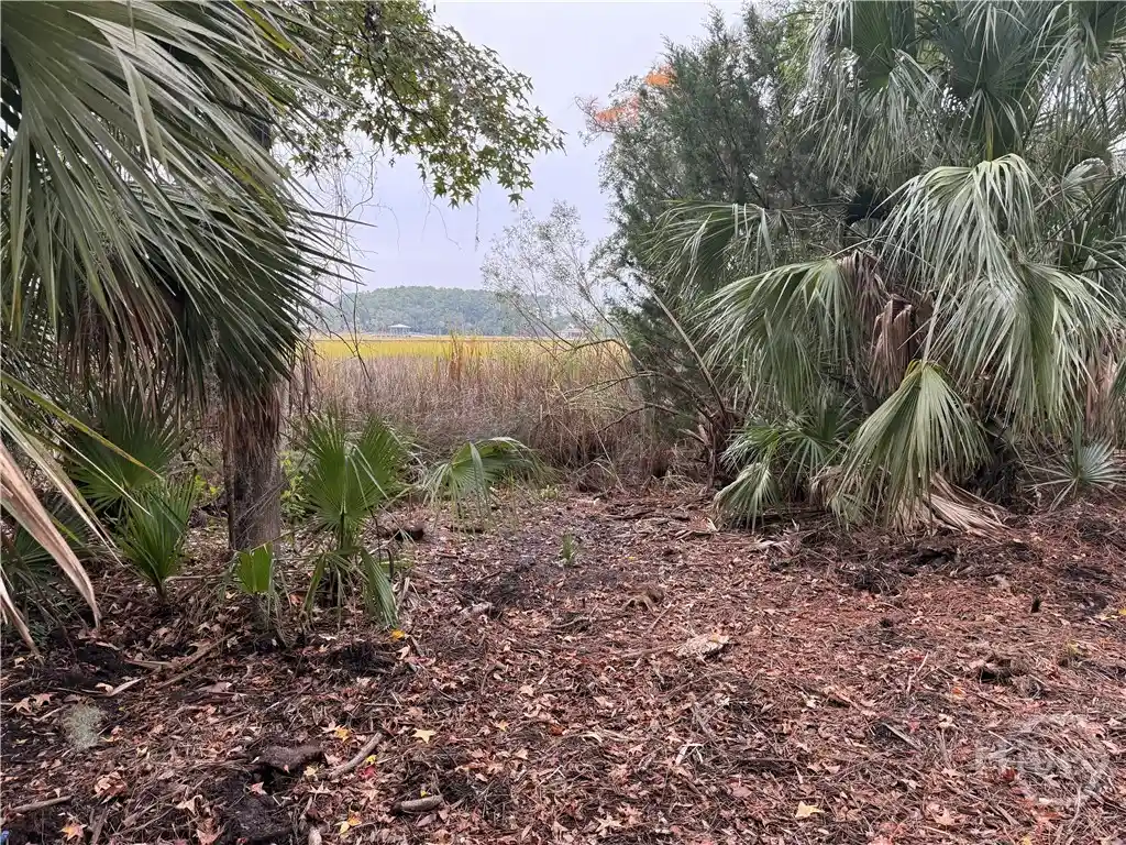 Land for sale at 209 Battery Way, Savannah, GA 31410 | MLS# SA353008