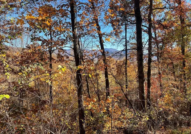 Photo 1 of Land for sale at 36 54c Ash Branch Cir, Hayesville, NC 28904 | MLS# 98543070 | Listing updated on 2026-07-21
