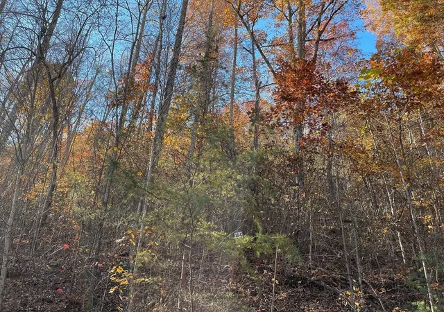 Photo 3 of Land for sale at 36 54c Ash Branch Cir, Hayesville, NC 28904 | MLS# 98543070 | Listing updated on 2026-07-21