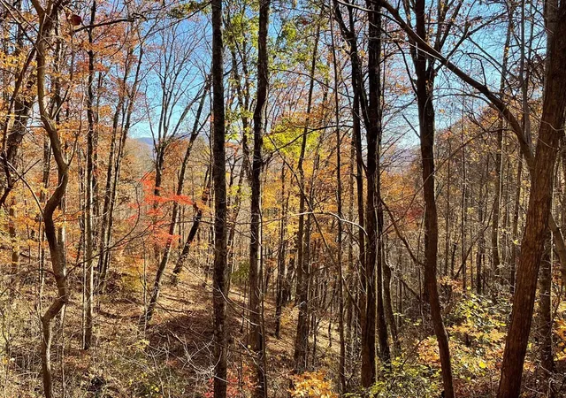 Photo 4 of Land for sale at 36 54c Ash Branch Cir, Hayesville, NC 28904 | MLS# 98543070 | Listing updated on 2026-07-21