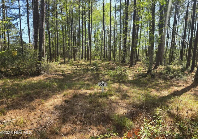 2nd image of Lot 1 Renee Dr, Hampstead, NC 28443 | MLS# 100566999