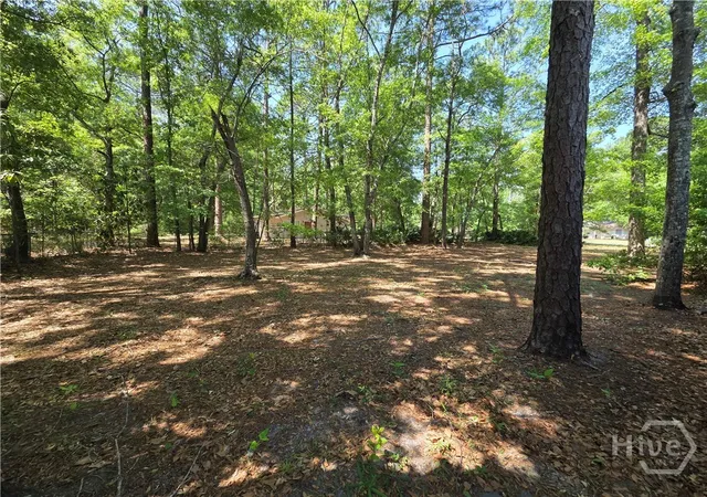 Homes for sale in Hinesville, GA | 219 Surrey Rd, Hinesville, GA 31313 | MLS# SA353441