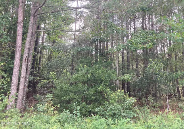 Land for sale at Lot 33 Pine Crst Rd, Bath, NC 27808 | MLS# 100594957