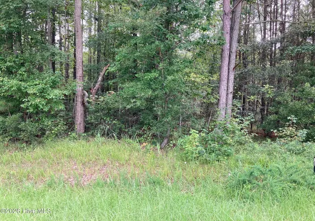 Photo 2 of Land for sale at Lot 33 Pine Crst Rd, Bath, NC 27808 | MLS# 100594957 | Listing updated on 2026-09-03