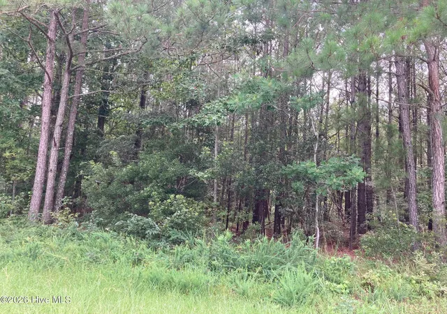 Photo 3 of Land for sale at Lot 33 Pine Crst Rd, Bath, NC 27808 | MLS# 100594957 | Listing updated on 2026-09-03