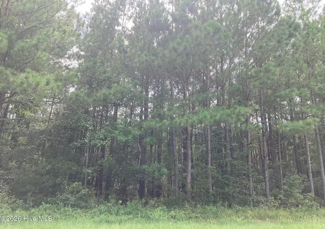 Photo 4 of Land for sale at Lot 33 Pine Crst Rd, Bath, NC 27808 | MLS# 100594957 | Listing updated on 2026-09-03