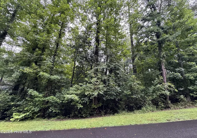 Homes for sale in Troy, NC | Lot 309 Holiday Dr, Troy, NC 27371 | MLS# 100523849