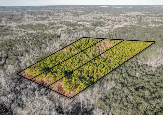 3rd image of 5479 Tubman Rd, Appling, GA 30802 | MLS# 98254616