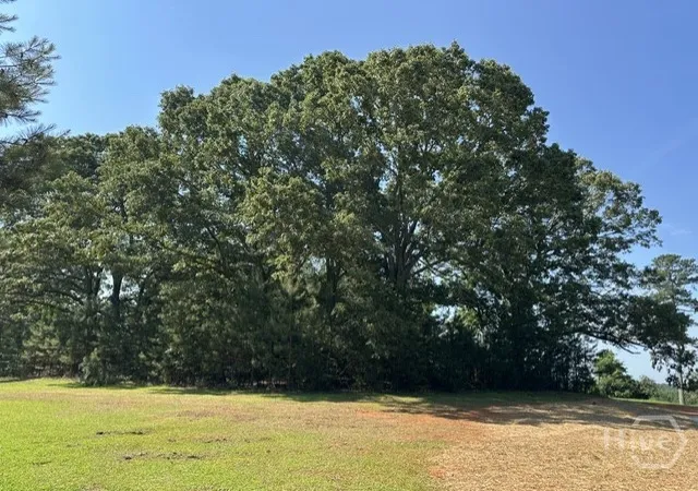 Homes for sale in Bishop, GA | 3511 New High Shoals Rd, Bishop, GA 30621 | MLS# CL358351