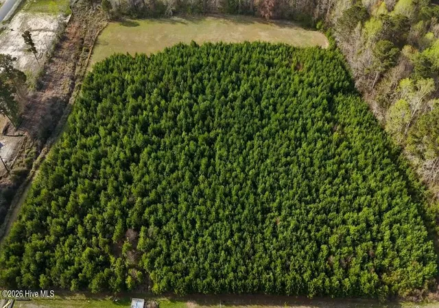 Photo 2 of Land for sale at Tr1 Smallwood Rd, Hubert, NC 28539 | MLS# 100563479 | Listing updated on 2026-03-30