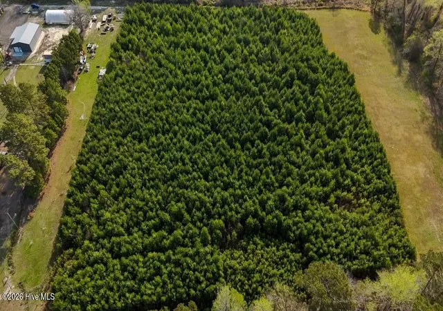 Photo 3 of Land for sale at Tr1 Smallwood Rd, Hubert, NC 28539 | MLS# 100563479 | Listing updated on 2026-03-30