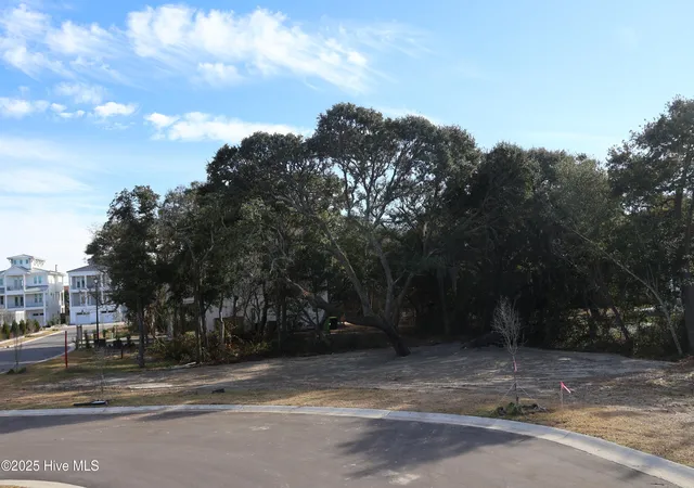 52nd image of 151 Auger Shell Ct, Surf City, NC 28445 | MLS# 100533891