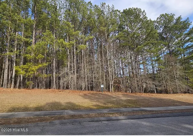 Photo 3 of Land for sale at 175 Broken Ridge Trl, West End, NC 27376 | MLS# 100583496 | Listing updated on 2026-07-09