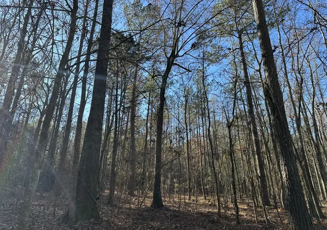 4th image of Lot 8 Saggus Rd, Washington, GA 30673 | MLS# 98211808