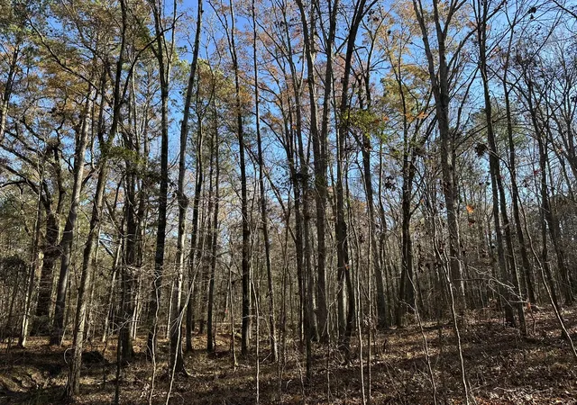 5th image of Lot 8 Saggus Rd, Washington, GA 30673 | MLS# 98211808