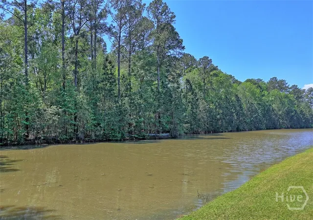 3rd image of 192 Willow Point Cir, Savannah, GA 31407 | MLS# SA353787