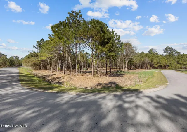 3rd image of 699 Vandemere Creek Dr, Vandemere, NC 28587 | MLS# 100567397
