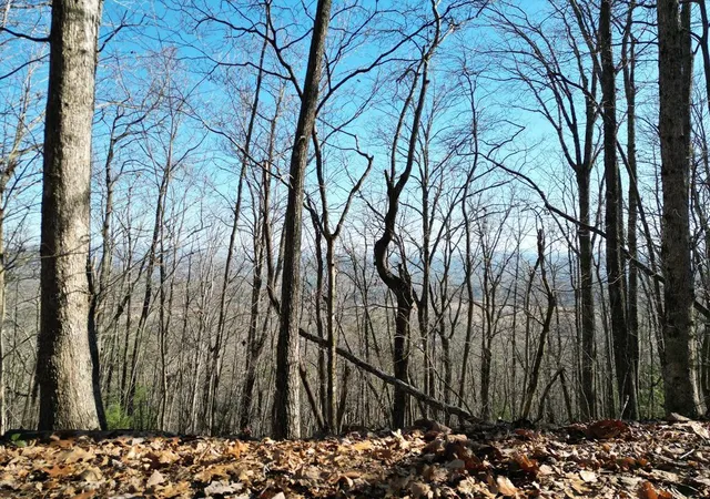Photo 2 of Land for sale at 2005 Ac Treehouse Trl, Murphy, NC 28906 | MLS# 98543757 | Listing updated on 2026-06-01