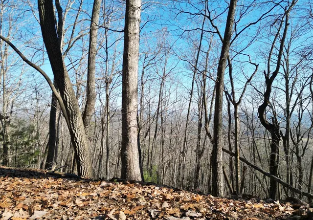Photo 3 of Land for sale at 2005 Ac Treehouse Trl, Murphy, NC 28906 | MLS# 98543757 | Listing updated on 2026-06-01