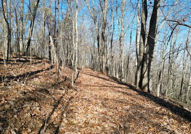 Photo 3 of Land for sale at 2005 Ac Treehouse Trl, Murphy, NC 28906 | MLS# 98543757 | Listing updated on 2026-06-01