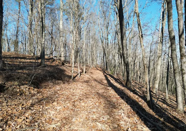 Photo 4 of Land for sale at 2005 Ac Treehouse Trl, Murphy, NC 28906 | MLS# 98543757 | Listing updated on 2026-06-01