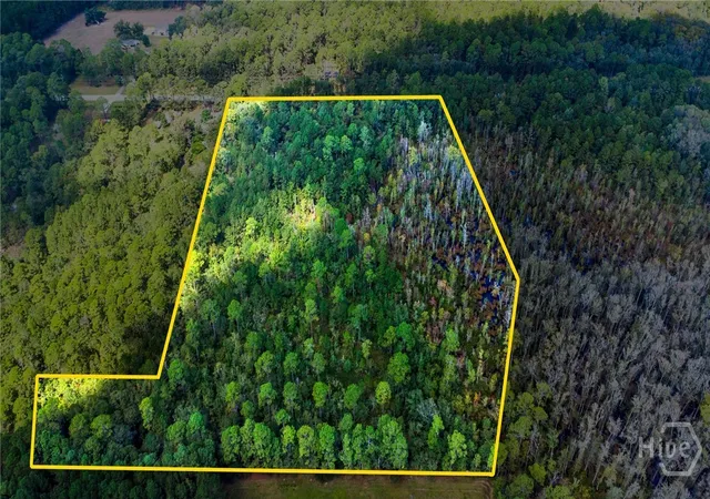 Photo 3 of Land for sale at 0 Hwy 119, Guyton, GA 31312 | MLS# SA339898 | Listing updated on 2026-07-07