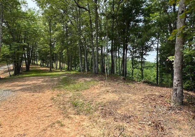 Photo 4 of Land for sale at Lot 62 Thundering Hl, Murphy, NC 28906 | MLS# 98524249 | Listing updated on 2026-07-21