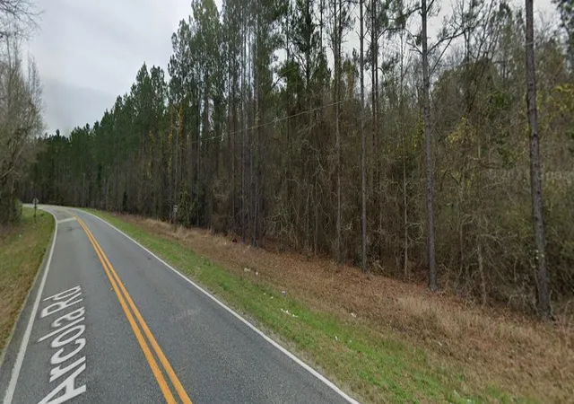 4th image of 000 Arcola Rd, Pembroke, GA 31321 | MLS# 98254731