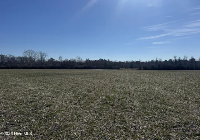 Homes for sale in Cerro Gordo, NC | 0 Near 2034 Haynes Len Hwy, Cerro Gordo, NC 28430 | MLS# 100556975