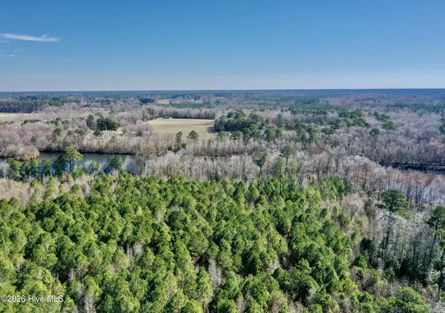 Homes for sale in Cerro Gordo, NC | 0 Near 2034 Haynes Len Hwy, Cerro Gordo, NC 28430 | MLS# 100556975