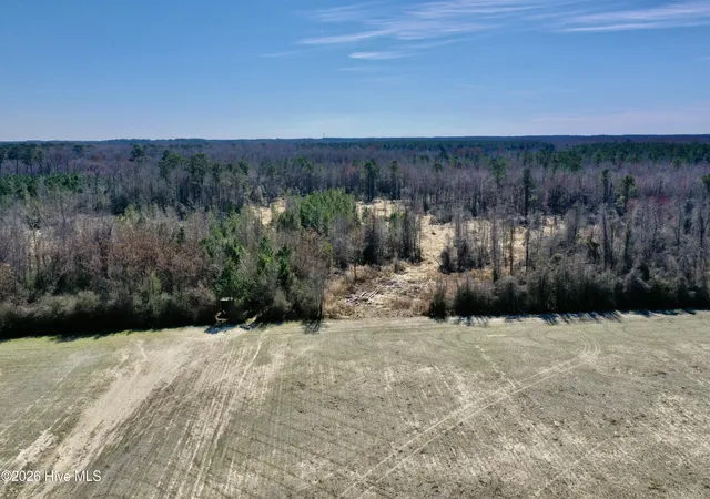 Homes for sale in Cerro Gordo, NC | 0 Near 2034 Haynes Len Hwy, Cerro Gordo, NC 28430 | MLS# 100556975