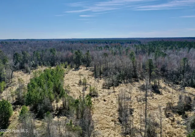 Homes for sale in Cerro Gordo, NC | 0 Near 2034 Haynes Len Hwy, Cerro Gordo, NC 28430 | MLS# 100556975