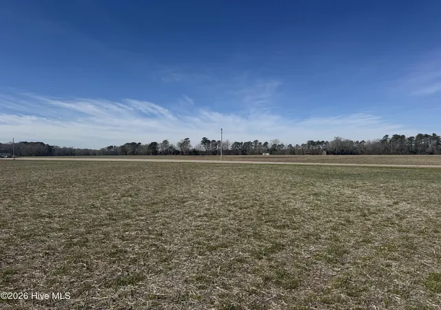 Homes for sale in Cerro Gordo, NC | 0 Near 2034 Haynes Len Hwy, Cerro Gordo, NC 28430 | MLS# 100556975