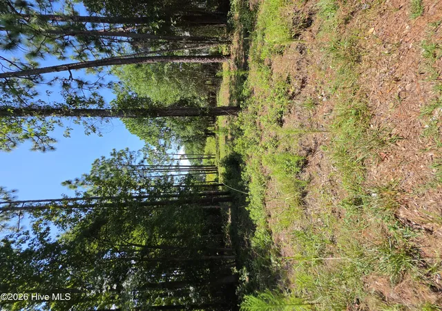 Photo 1 of Land for sale at 44 Pine Shrs Dr, Southport, NC 28461 | MLS# 100596865 | Listing updated on 2026-08-18