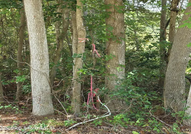 Photo 3 of Land for sale at 44 Pine Shrs Dr, Southport, NC 28461 | MLS# 100596865 | Listing updated on 2026-08-18